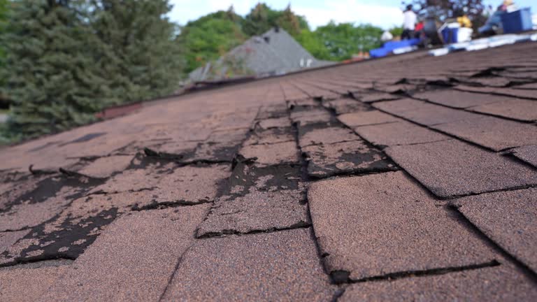 Best Steel Roofing  in Forreston, IL