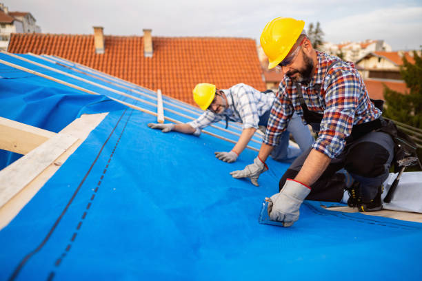 Best Flat Roofing  in Forreston, IL
