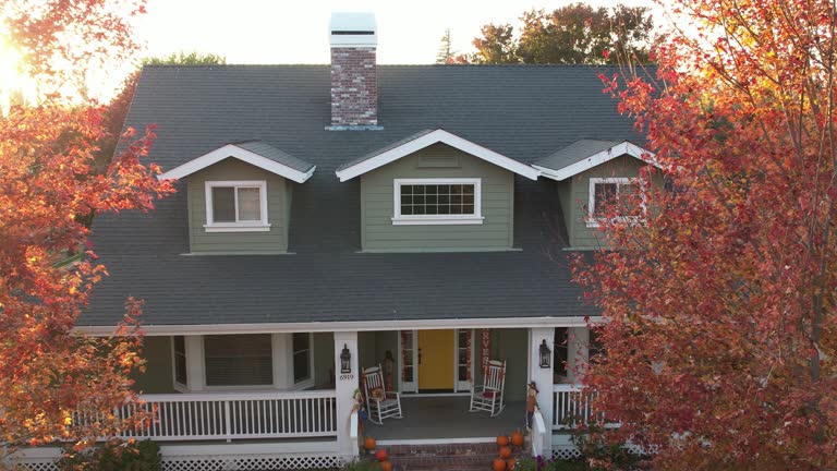 Best Roof Ventilation Installation  in Forreston, IL