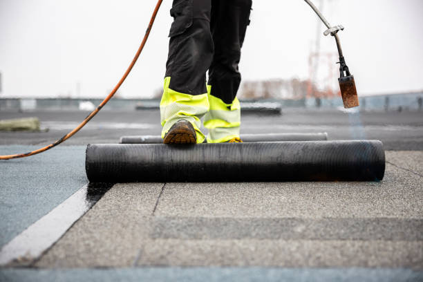Professional Roofing Service in Forreston, IL