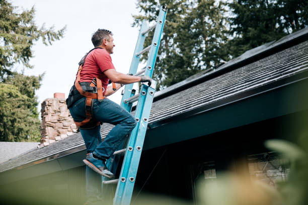 Best Solar Panel Roofing Installation  in Forreston, IL