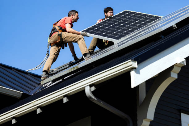 Best Roof Ventilation Installation  in Forreston, IL